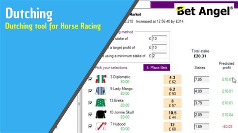 horse racing betting calculator|Horse Racing Calculator and Converter .